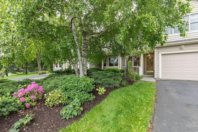 5810 Nobleton Cir, Onondaga, NY 13078 - view of property hidden behind natural elements featuring a garage and driveway