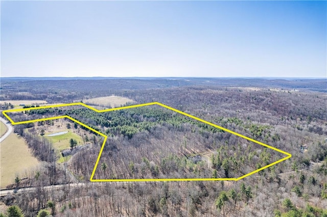 6270 Wolf Run Rd, Campbell, NY 14821 - aerial view of sparsely populated area with property boundaries highlighted