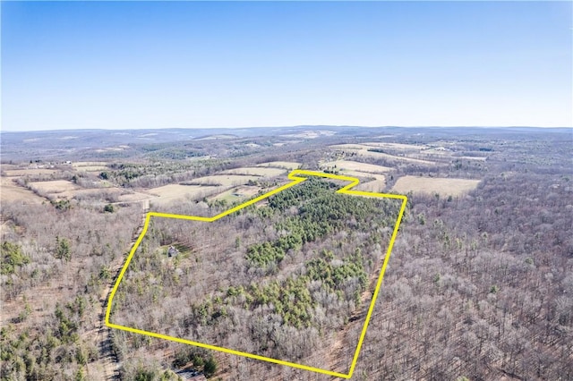 6270 Wolf Run Rd, Campbell, NY 14821 - view of rural area featuring property boundaries highlighted