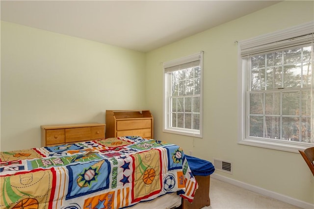 6270 Wolf Run Rd, Campbell, NY 14821 - bedroom with carpet floors and baseboards