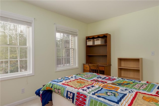 6270 Wolf Run Rd, Campbell, NY 14821 - carpeted bedroom featuring multiple windows