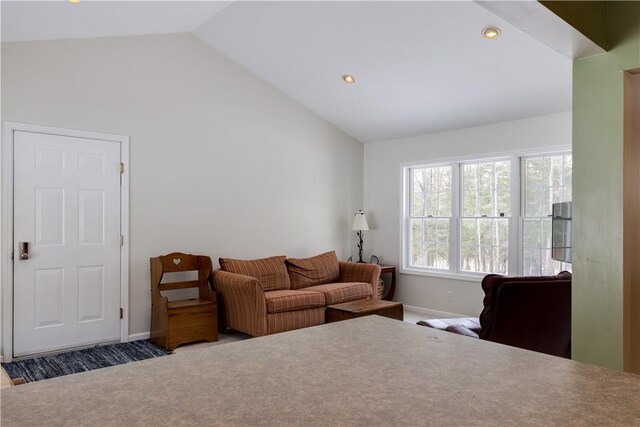6270 Wolf Run Rd, Campbell, NY 14821 - bedroom with vaulted ceiling and recessed lighting