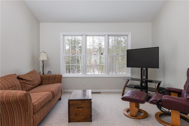 6270 Wolf Run Rd, Campbell, NY 14821 - living room featuring baseboards and carpet