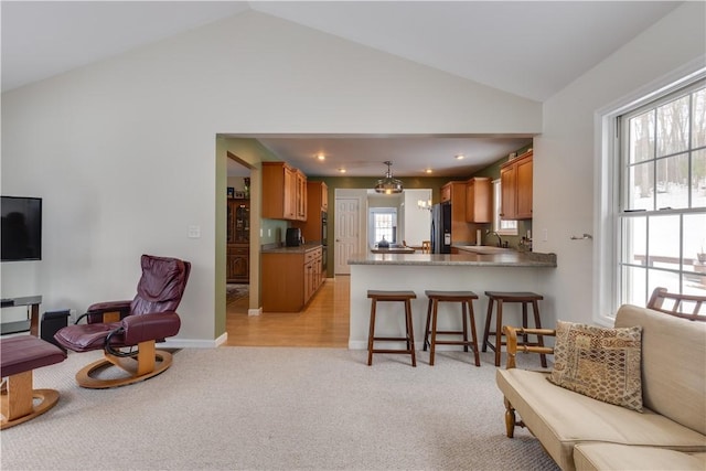 6270 Wolf Run Rd, Campbell, NY 14821 - living room featuring light carpet, vaulted ceiling, and plenty of natural light