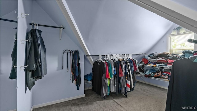 610 Huth Rd, Cheektowaga, NY 14225 - spacious closet featuring vaulted ceiling and carpet