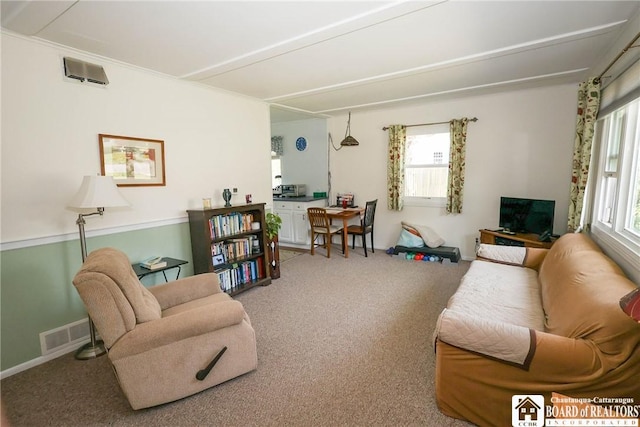 103 Springdale Ave, Jamestown, NY 14701 - living room featuring carpet floors and plenty of natural light