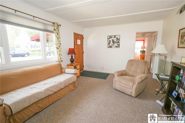103 Springdale Ave, Jamestown, NY 14701 - carpeted living area featuring plenty of natural light