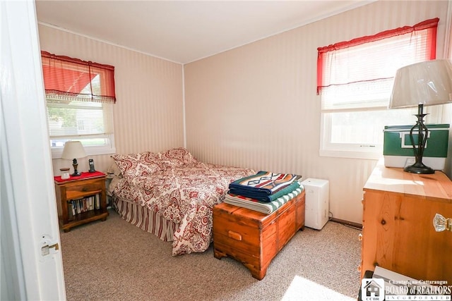 103 Springdale Ave, Jamestown, NY 14701 - bedroom with crown molding and carpet flooring