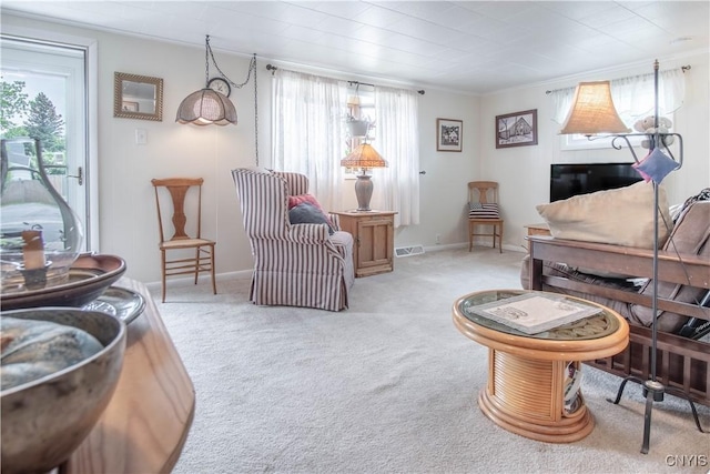 225 Breen Ave, Watertown-City, NY 13601 - living area with carpet and crown molding