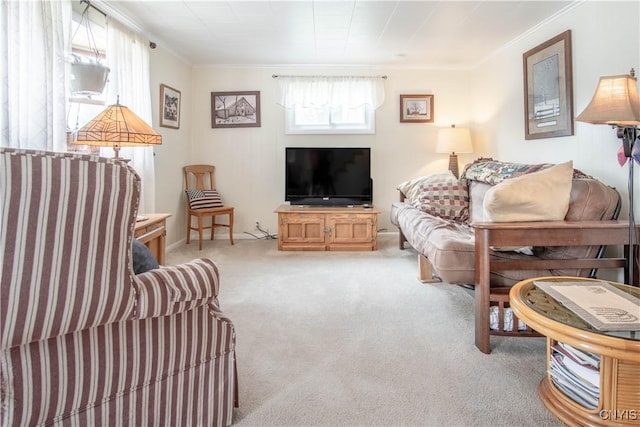 225 Breen Ave, Watertown-City, NY 13601 - living area featuring light carpet and ornamental molding