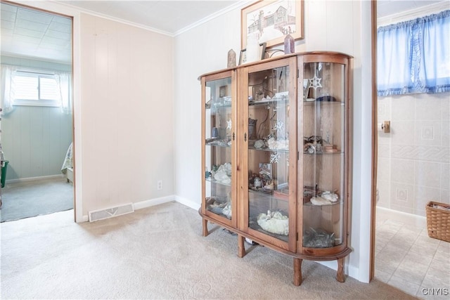 225 Breen Ave, Watertown-City, NY 13601 - detailed view of ornamental molding and carpet floors