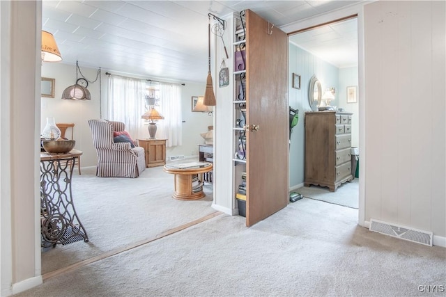 225 Breen Ave, Watertown-City, NY 13601 - hall with carpet floors