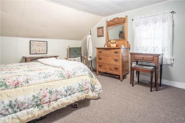 225 Breen Ave, Watertown-City, NY 13601 - bedroom with vaulted ceiling and carpet