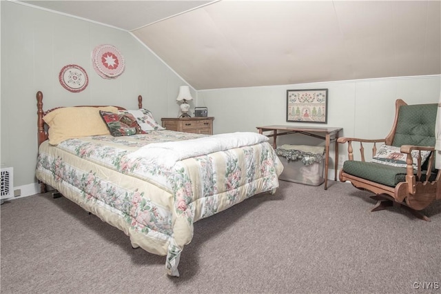 225 Breen Ave, Watertown-City, NY 13601 - bedroom with carpet flooring and lofted ceiling