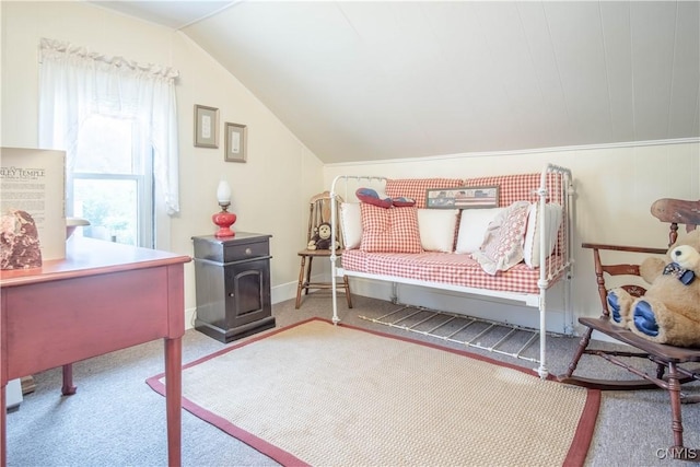 225 Breen Ave, Watertown-City, NY 13601 - sitting room with carpet floors, lofted ceiling, and a wood stove
