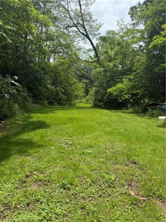 227 Fall St, Seneca Falls, NY 13148 - photo 20