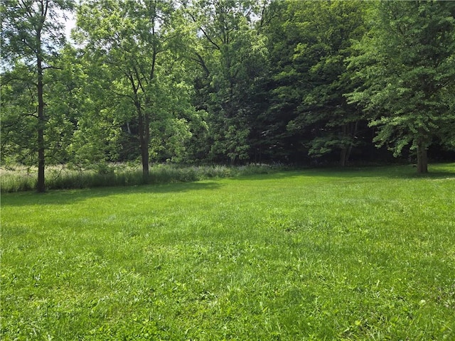 127 Wyoming St, Warsaw, NY 14569 - photo 3