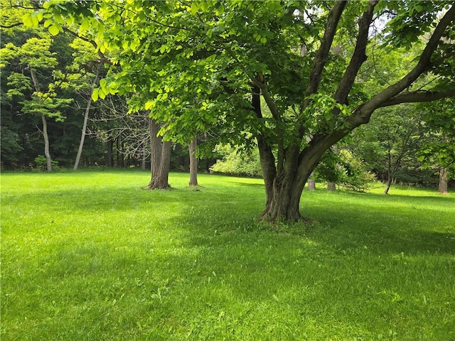 127 Wyoming St, Warsaw, NY 14569 - photo 4