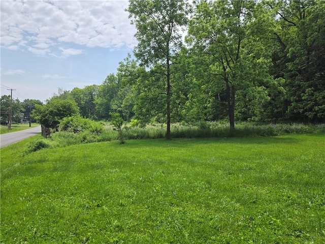 127 Wyoming St, Warsaw, NY 14569 - photo 5