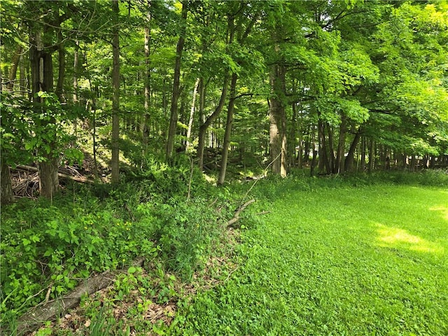 127 Wyoming St, Warsaw, NY 14569 - photo 10