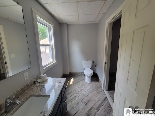 116 Park St, Jamestown, NY 14701 - bathroom with a paneled ceiling, vanity, and wood finished floors