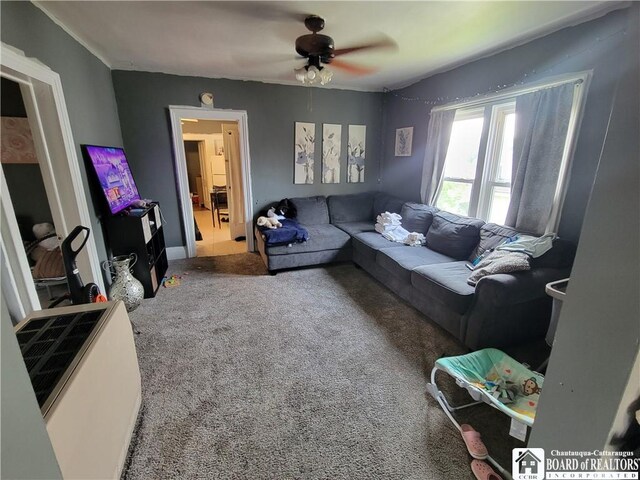 116 Park St, Jamestown, NY 14701 - living room with carpet flooring and a ceiling fan