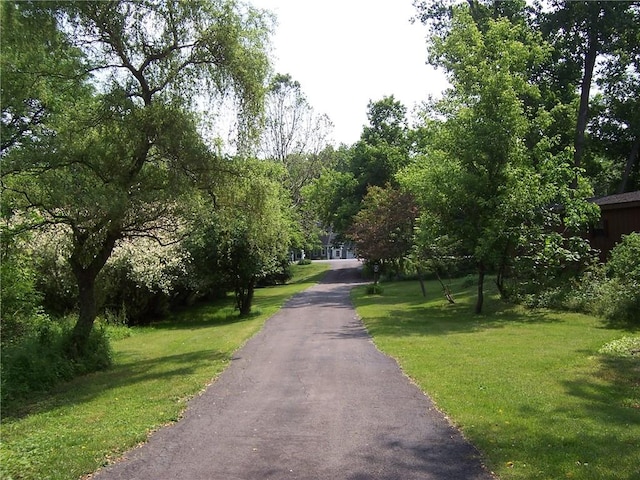 1324 New Seabury Ln, Victor, NY 14564 - view of asphalt driveway