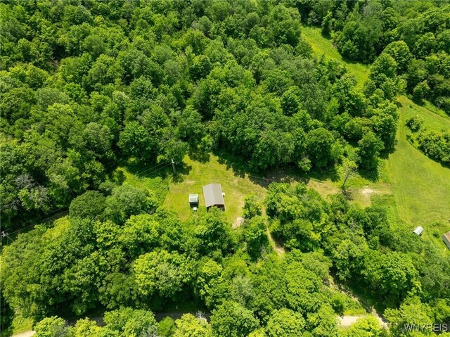 4412 Conley Rd, Hinsdale, NY 14743 - photo 8