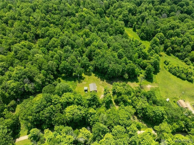 4412 Conley Rd, Hinsdale, NY 14743 - photo 9