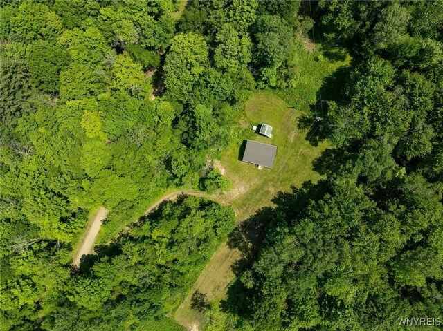 4412 Conley Rd, Hinsdale, NY 14743 - photo 6