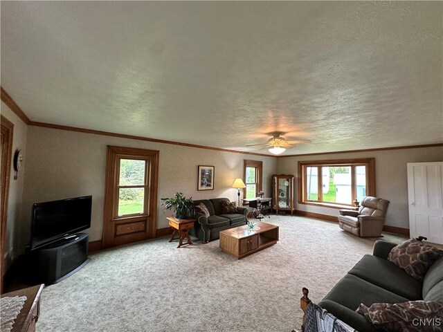 4076 State Highway 37, Morristown, NY 13669 - carpeted living room featuring a textured ceiling, crown molding, and ceiling fan