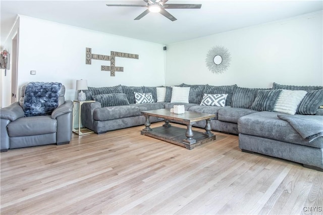 21912 Birch Ln, Watertown Town, NY 13601 - living area featuring a ceiling fan, crown molding, and light wood-style flooring