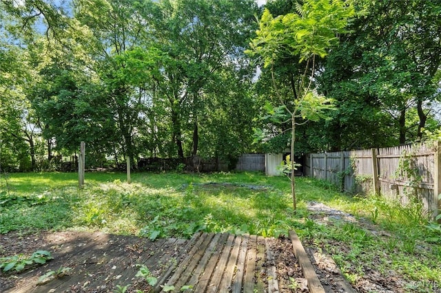 207 Boyden St, Syracuse, NY 13203 - fenced backyard with view of scattered trees