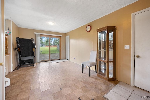 17 Hummingbird Pl, Clay, NY 13090 - foyer entrance with a textured ceiling