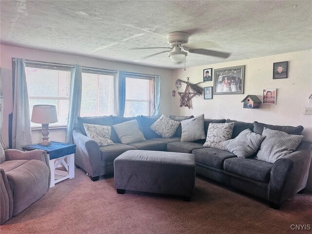 183 Gulf Hl, Dryden, NY 13045 - photo 5