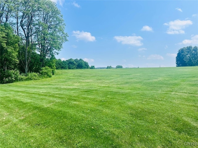 183 Gulf Hl, Dryden, NY 13045 - photo 15