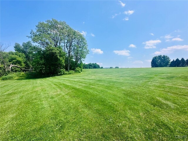 183 Gulf Hl, Dryden, NY 13045 - photo 16