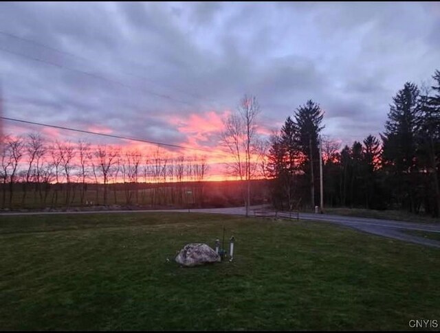 183 Gulf Hl, Dryden, NY 13045 - photo 18