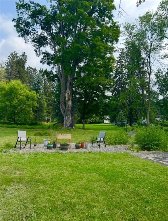 104 Pleasant St, Norwich, NY 13815 - photo 35