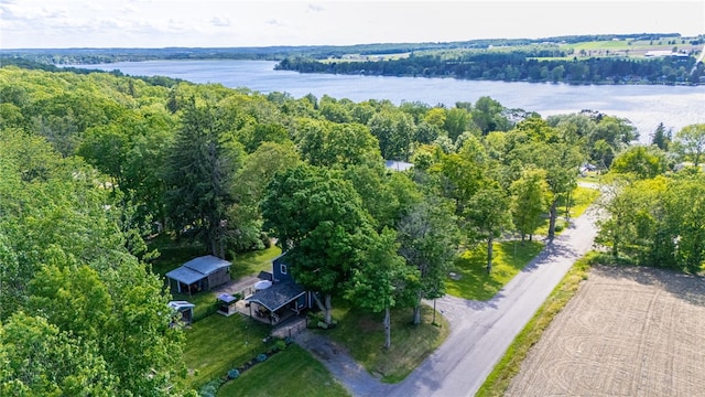 3839 Thompson Ave, Castile, NY 14549 - aerial view of a nearby body of water and a forest