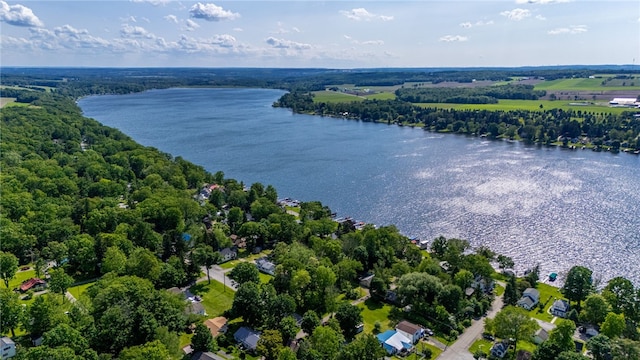 3839 Thompson Ave, Castile, NY 14549 - drone / aerial view of a large body of water