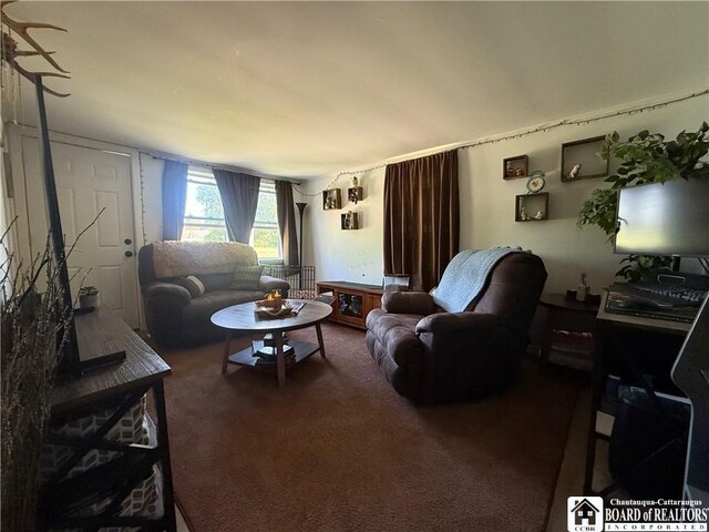 421 E Connell St, Olean-City, NY 14760 - view of carpeted living room
