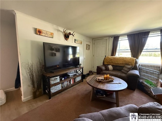 421 E Connell St, Olean-City, NY 14760 - living room with baseboards