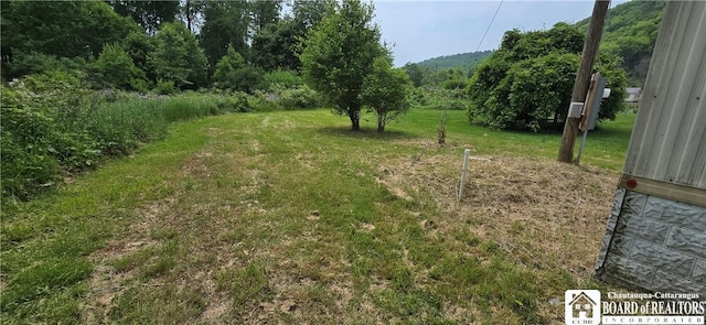 137 Dean St, Bolivar, NY 14715 - photo 4