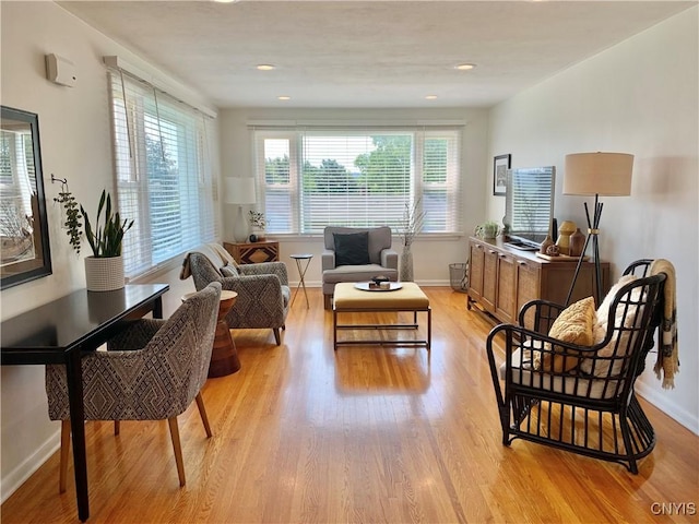 17 Benton Cir, New Hartford, NY 13501 - living area featuring light wood-style floors and recessed lighting