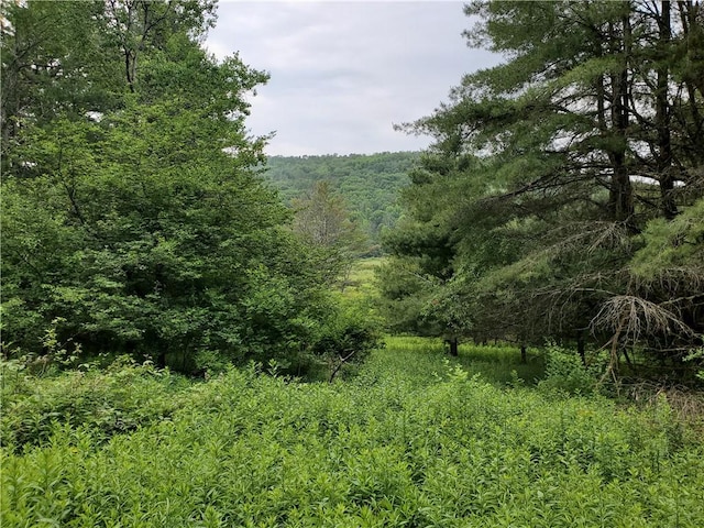 1059 County Highway 4, Butternuts, NY 13849
