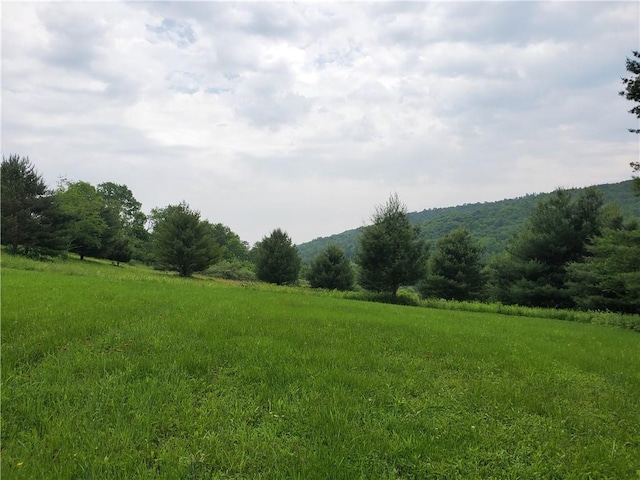 1059 County Highway 4, Butternuts, NY 13849
