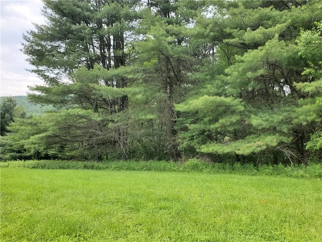1059 County Highway 4, Butternuts, NY 13849