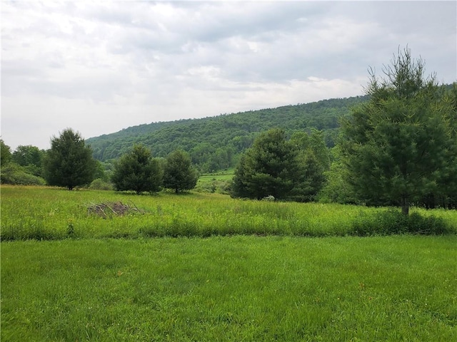 1059 County Highway 4, Butternuts, NY 13849