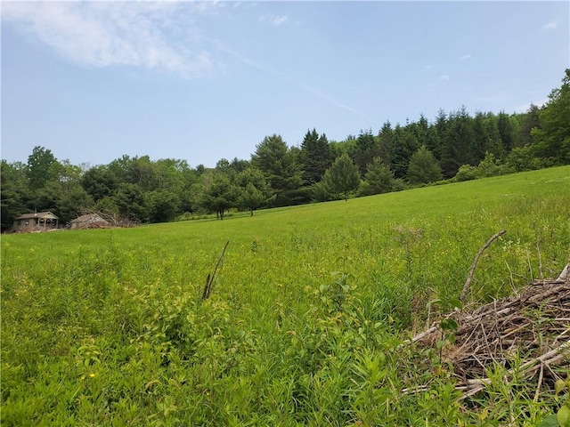 1059 County Highway 4, Butternuts, NY 13849